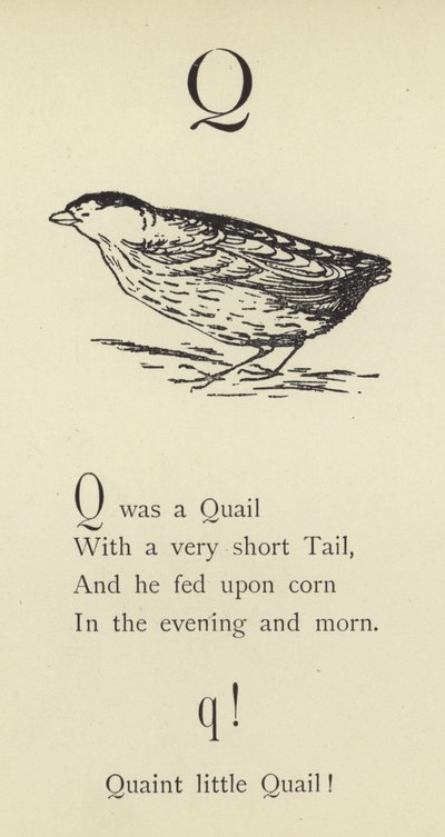 La letra Q de Edward Lear